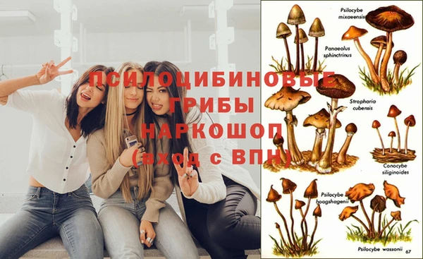 кокаин премиум Арсеньев